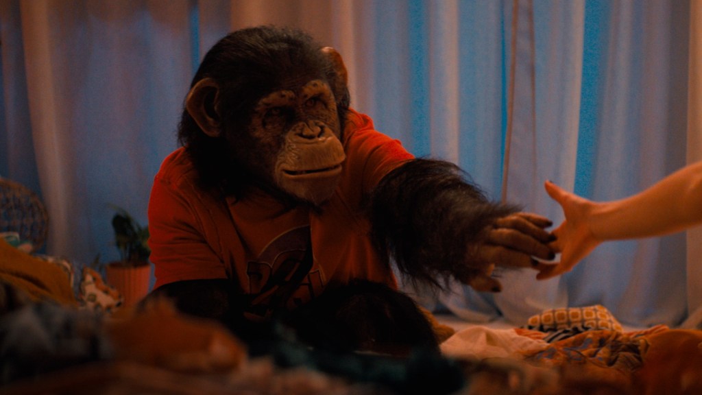 Primate (2026) review: Slowly, slowly, catch&nbsp;human